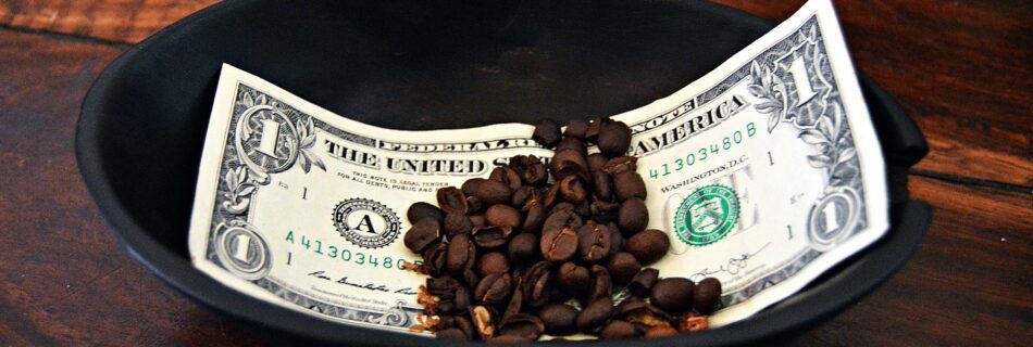 Starter Loans for Building Credit